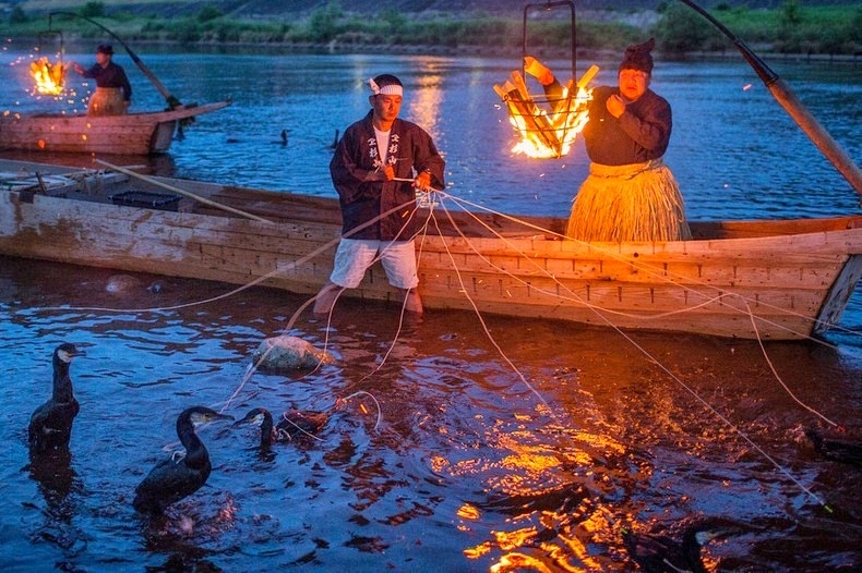 Giữa màn đêm của thành phố Gifu, vài người đàn ông đang ngồi ven dòng sông Nagara với những con chim cốc. Dưới ánh lửa bập bùng, họ hiện lên như người đến từ thời đại khác trong trang phục truyền thống, tay điều khiển đàn chim như những con rối.